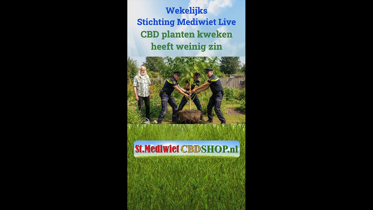 CBD planten kweken heeft weinig zin