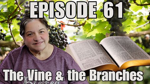 Chosen by God to Bear Fruit | John 15 - Bible Reading & Reflection