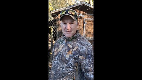 What to do with spare pumpkins?