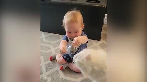 funny baby videos