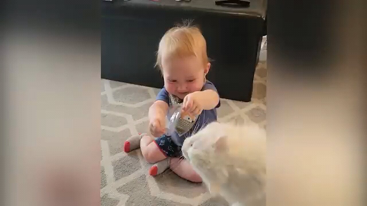 funny baby videos