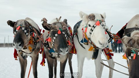 Inland Visions | Tundra Twilight: Exploring Saami Tradition & Myth