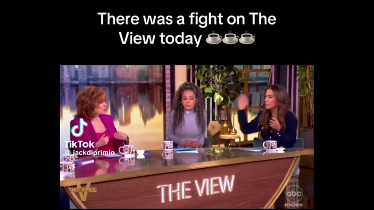 The view is falling apart at the seams, the women are constantly arguing on that show.