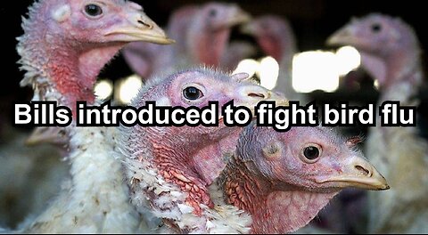 Bills introduced to fight bird flu