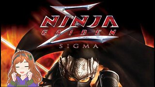 NinJanuary! Ninja Gaiden Sigma | Honey Badger Arcade