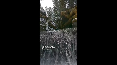 Share This Short #Alaska #DJIaction5pro #Outdoors #Nature #Camping #Bushcraft #Rainforest #fyp #DJI