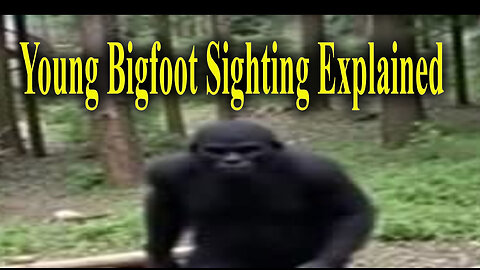 Young Bigfoot Enounter explained