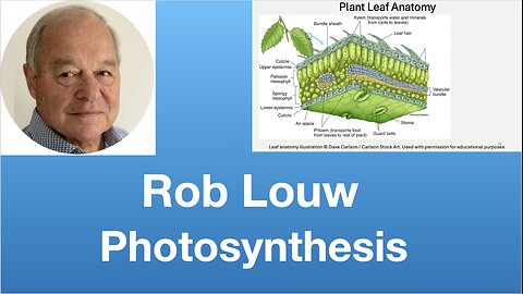 Rob Louw: Photosynthesis | Tom Nelson Pod #355