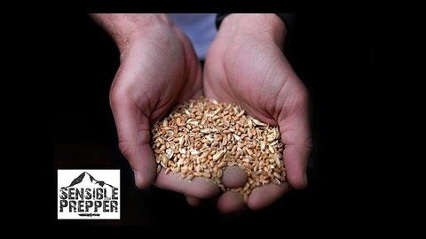 Food Shortages Coming: 15 Things you can do