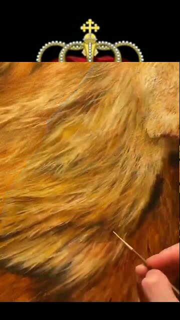 Como Pintar Realismo 🎨