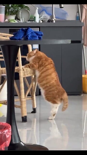 I need to think about my diet!