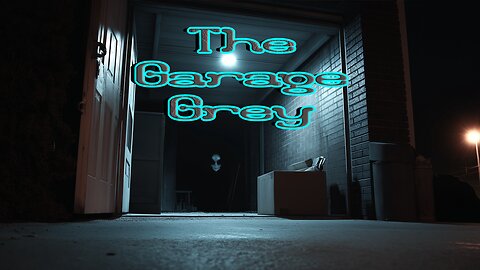 The Garage Grey - Was This an Alien in Our Garage?