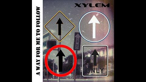 Xylem - A Way For Me To Follow (Full CD) (2025)