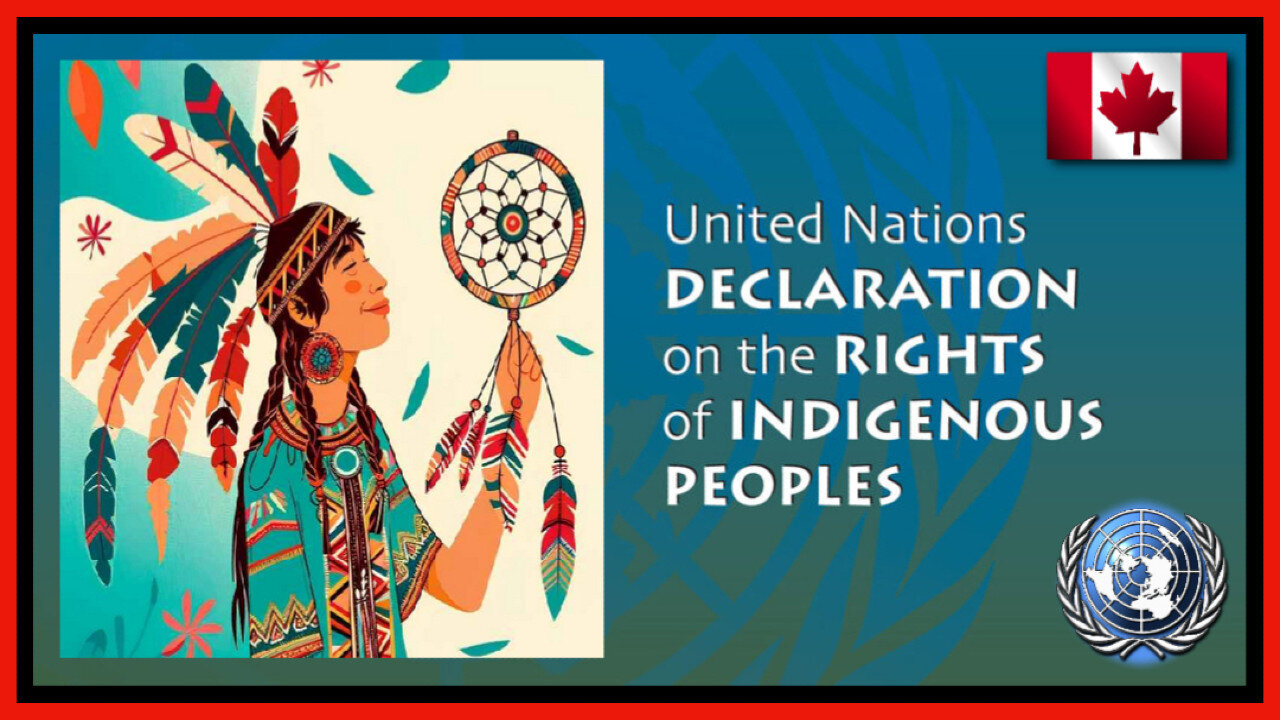 📽️ ✂️ CLIP: UN's 'UNDRIP' ➤ The Taking of British Columbia Property Rights and Giving Them to The Indigenous People