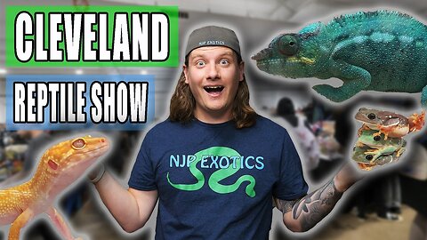 Cleveland Ohio Reptile Show TOUR!