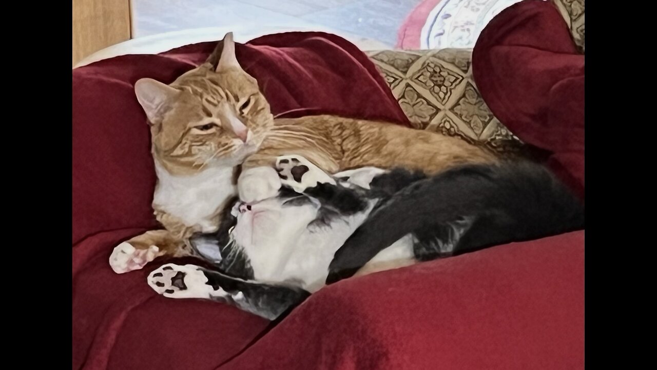 Episode 3020 CWSA 11/16/25