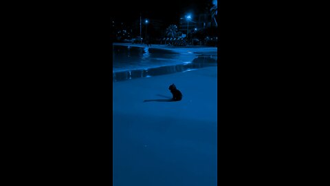 Calm Music
