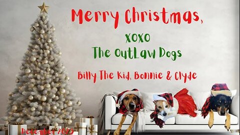 OutLawDogs LIVE! Ep. 178-Weekend Recap 12/25