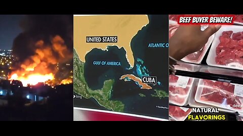 TRUMP DECLARES NATIONAL EMERGENCY-IT'S REALLY HAPPENING! UPDATES!