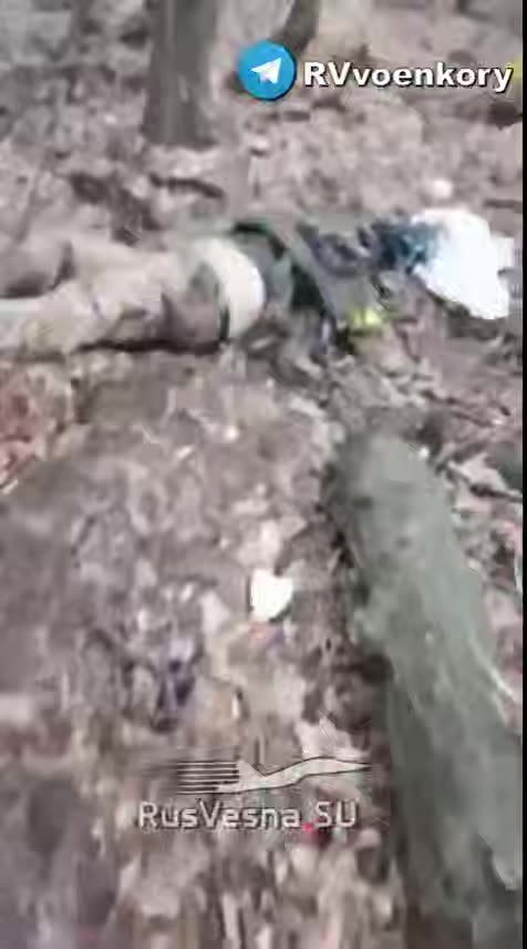 Ukraine war combat footage 12/28/24