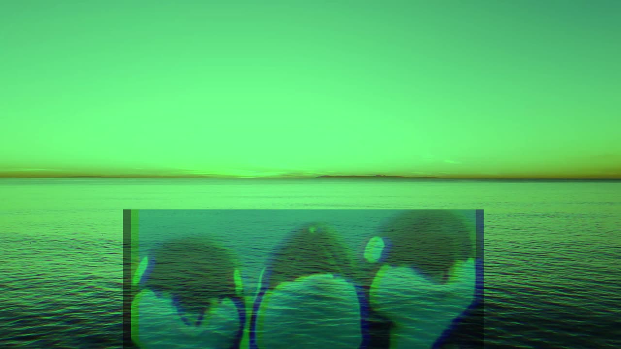 whale rave
