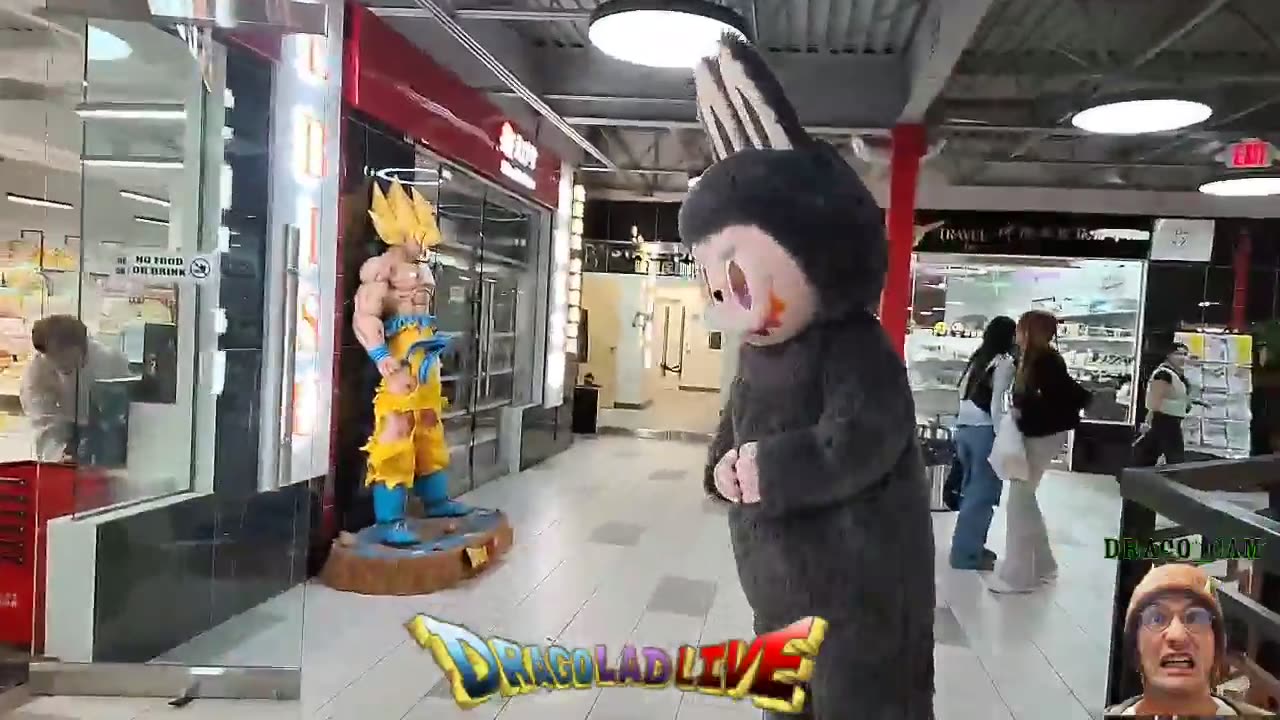 🙀Hanging with a real Labobo, IRL🙀 !tts subs only~ [3ccfc5be-77b5-4be3-b03c-c6ad44bd1c28]