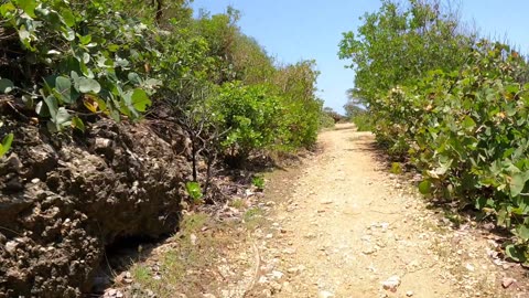 Rincón Puerto Rico Secluded Beach