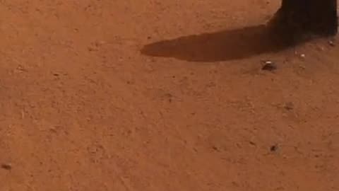 NASA Discovers Possible Signs of Life on Mars | Shocking New Evidence 2025
