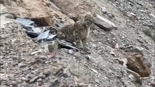 🤔😂 You Never Know Who's Watching You! Spying like a Pro! | FunFM