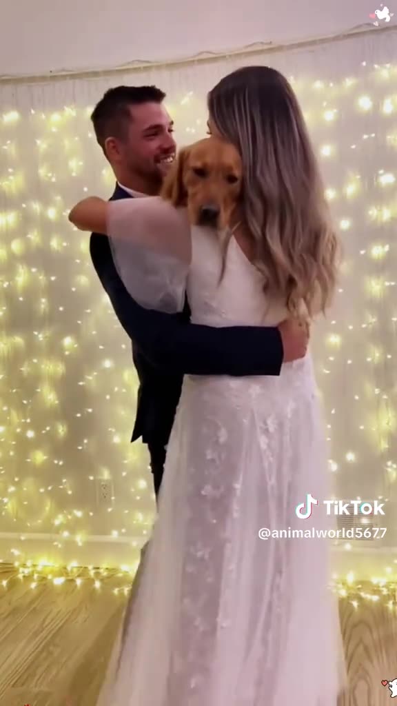 SPECIAL WEDDING SUNDAY 11/23/25