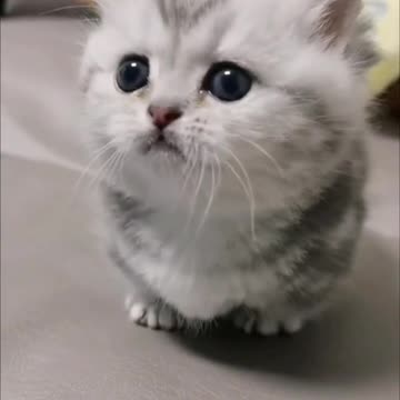 Good morning! I wish you a good working day!