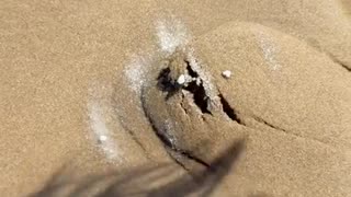 🔬💥 You Won't Believe This Crazy Chemical Reaction! | FunFM