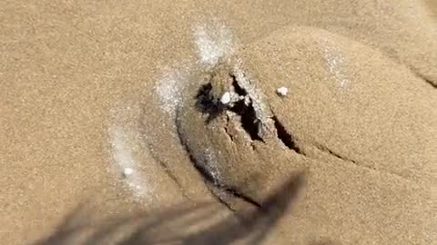 ðŽðĨ You Won't Believe This Crazy Chemical Reaction! | FunFM