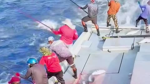 Cakalang Fishing