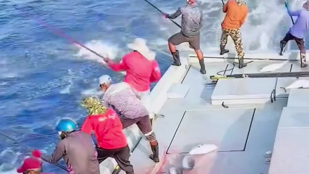 Cakalang Fishing