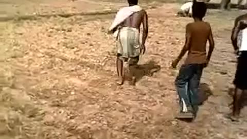 Elephant Tandav