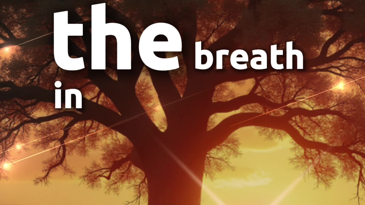 Start Your Day With Gratitude 🙏 | Powerful Short Morning Prayer