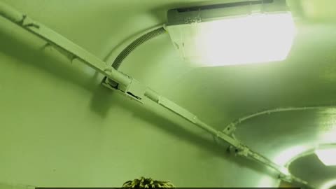 Daily Horoscope | Pisces 🌟