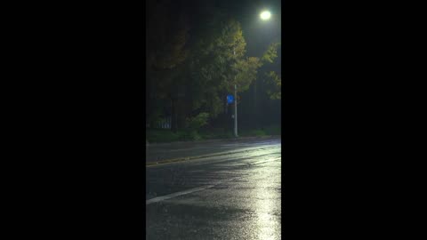 Dream Current – carried by unseen waves.