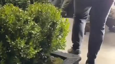 SENSITIVE: A Ukrainian woman crying and screaming as her husband gets forcefully...