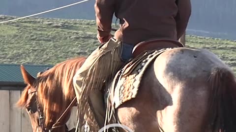 Add the leg after the turn.