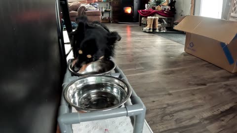 molly eats eggies for lunch!