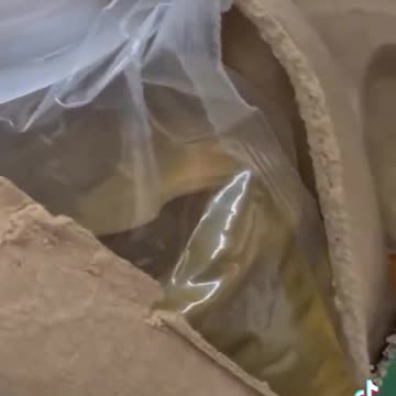 An example of the contradictions in the “green” movement has emerged in Germany.