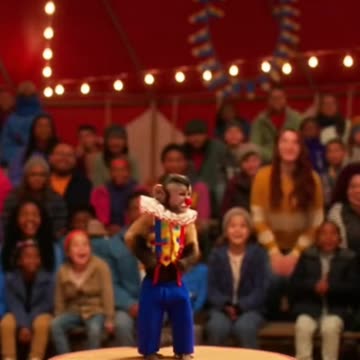 The Monkey’s Comedy Crush