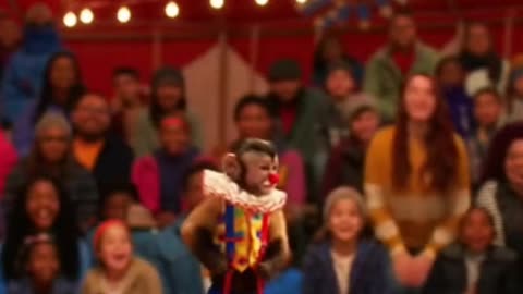 The Monkey’s Comedy Crush