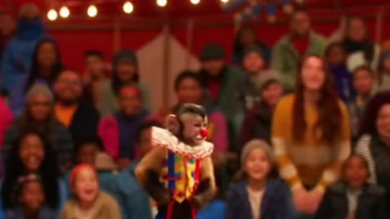 The Monkey’s Comedy Crush