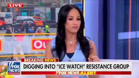 Was the ICE Shooting in Minneapolis Felony Murder? Legal Analyst Breaks it Down