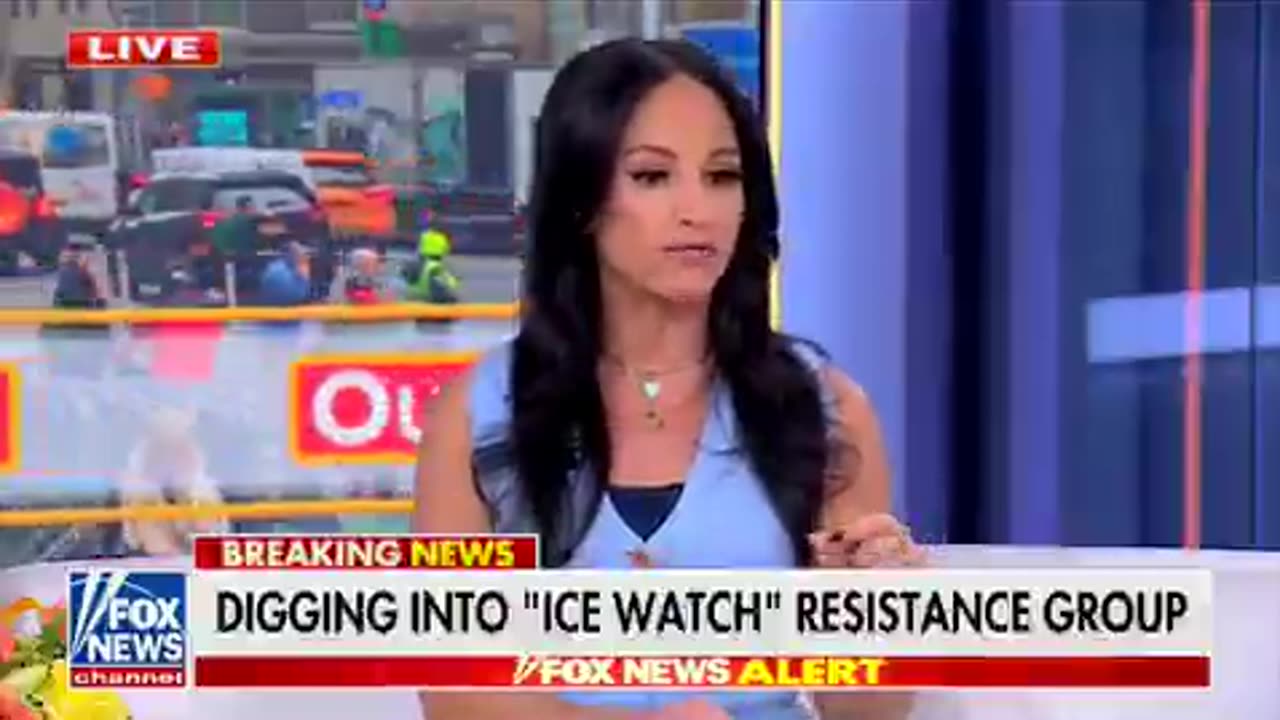 Was the ICE Shooting in Minneapolis Felony Murder? Legal Analyst Breaks it Down