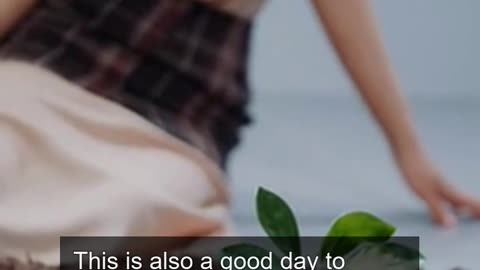 Daily Horoscope | Taurus 🌟