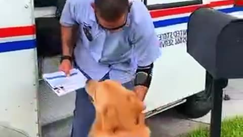 When The Mailman is your best Friend